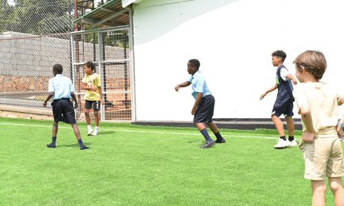 sports and outdoor activities (5)