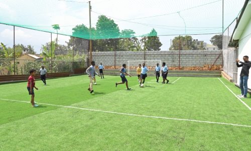 sports and outdoor activities (8)